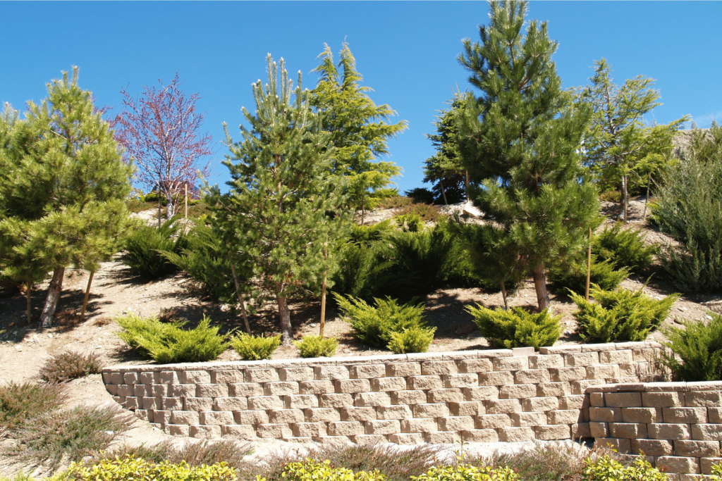 Retaining Walls